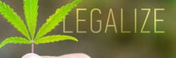 The Economic Impact of Cannabis Legalization: An In-Depth Analysis The Economic Impact of Cannabis Legalization: An In-Depth Analysis